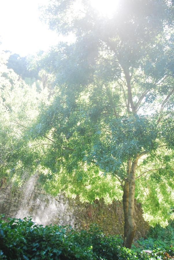 Sintra Center Guest House Escape To Nature 외부 사진