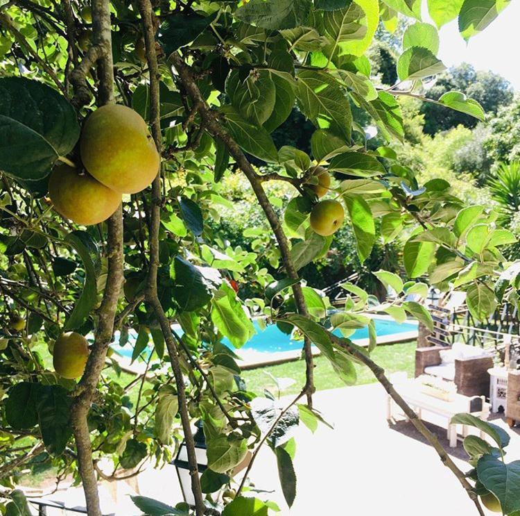 Sintra Center Guest House Escape To Nature 외부 사진