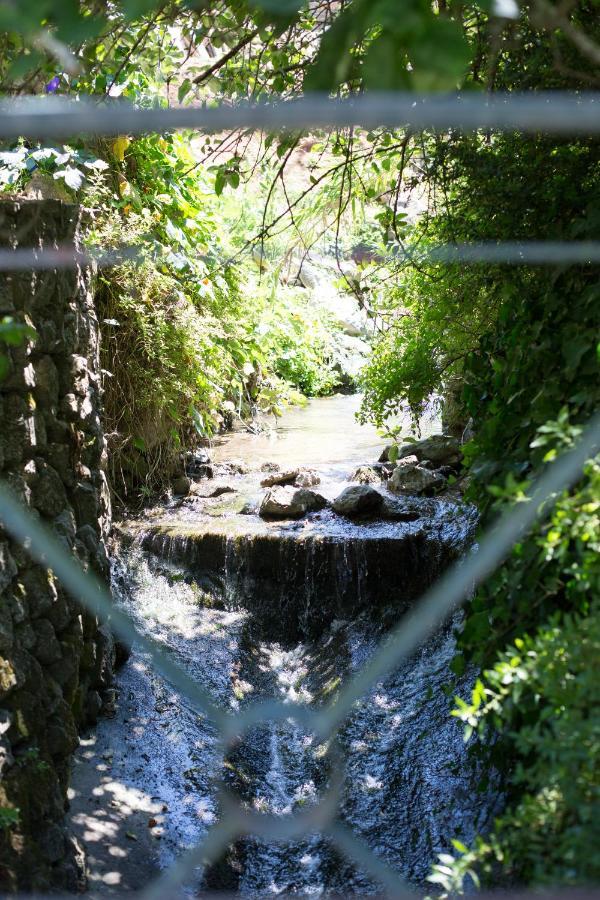 Sintra Center Guest House Escape To Nature 외부 사진