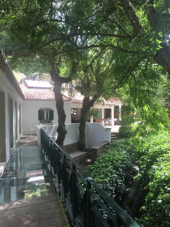 Sintra Center Guest House Escape To Nature 외부 사진