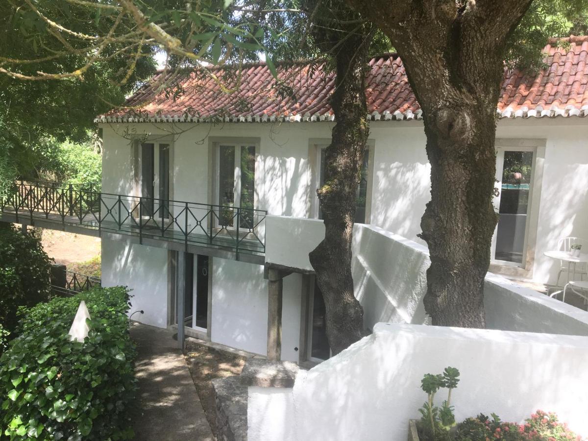 Sintra Center Guest House Escape To Nature 외부 사진